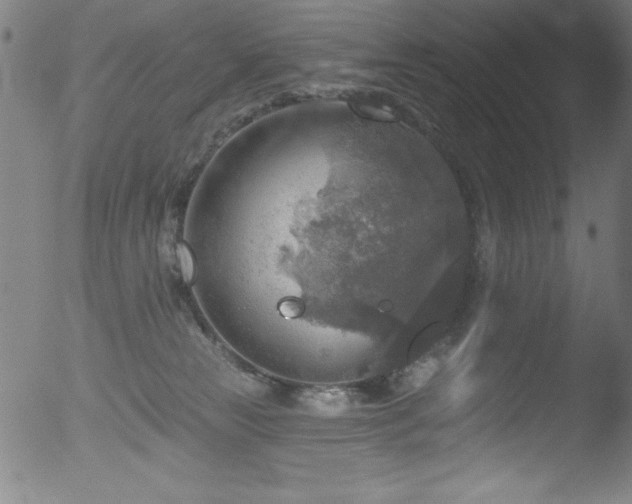 X0000053120181200507111336