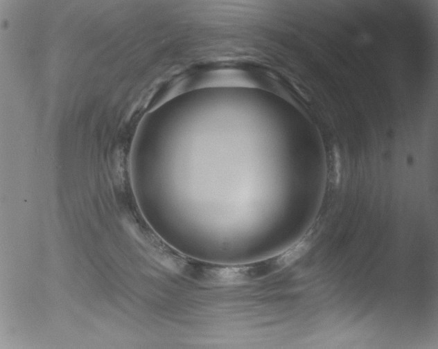 X0000053120184200507111336