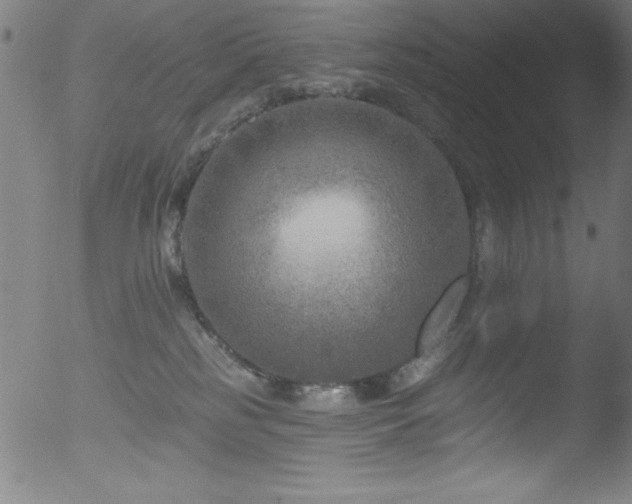 X0000053120185200507111336