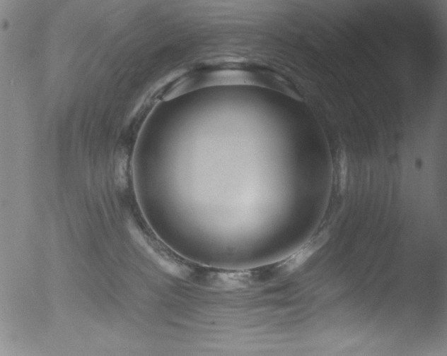 X0000053120188200507111336
