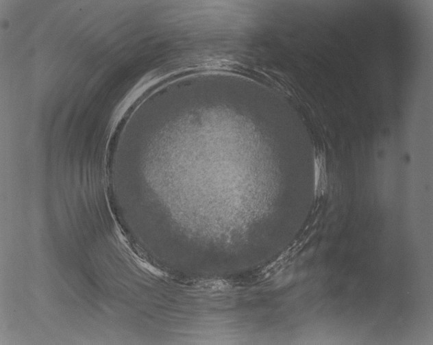 X0000053120195200507111335