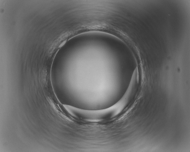 X0000053120201200507111335
