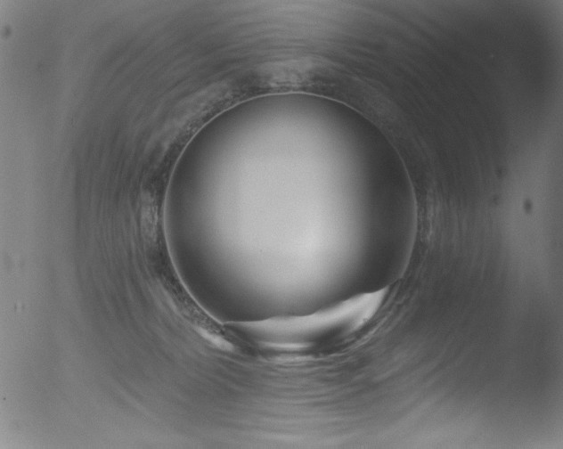 X0000053120228200507111334