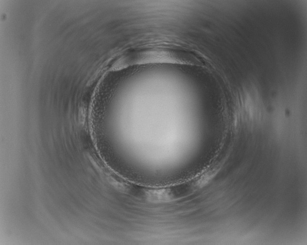 X0000053120281200507111334