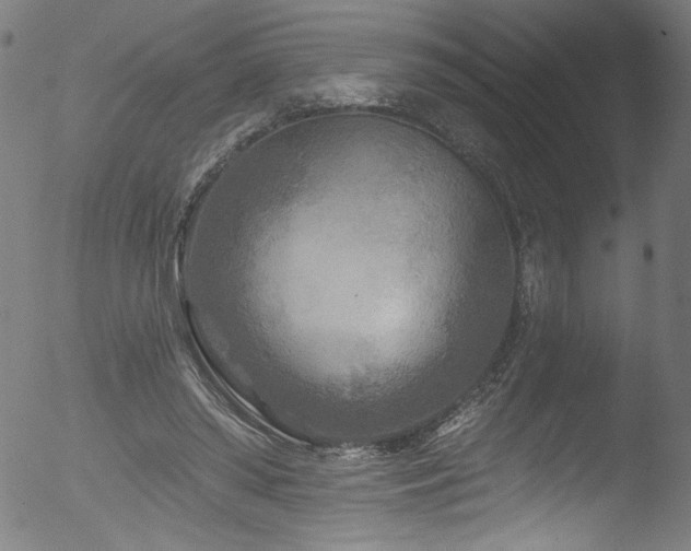 X0000053120398200507111332
