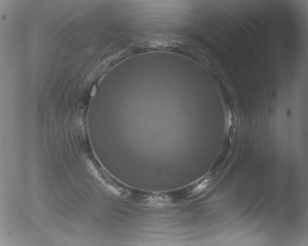 X0000053120415200507111331