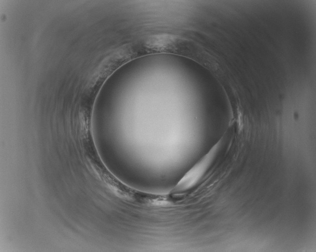 X0000053120420200507111331