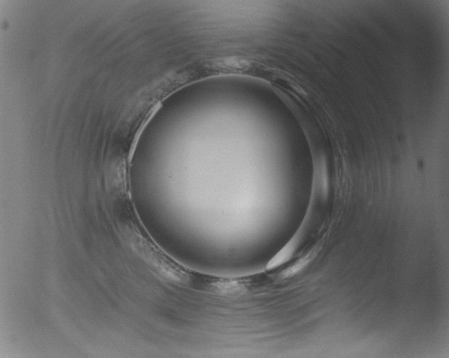 X0000053120425200507111331