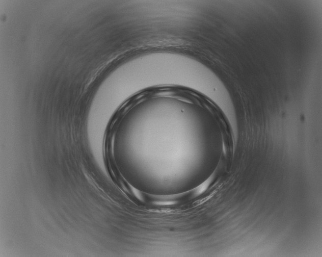 X0000053120448200507111330