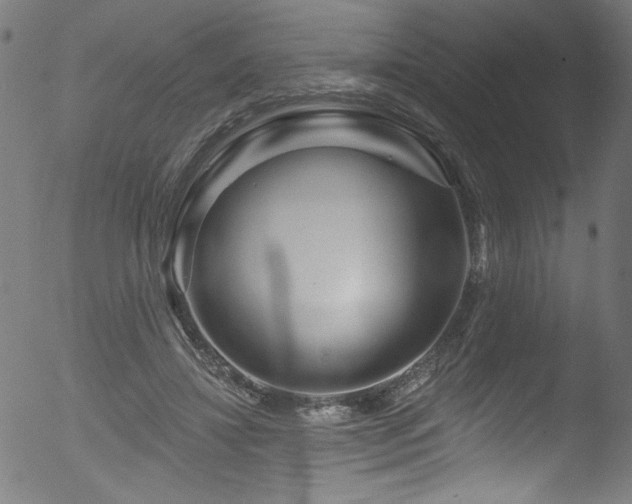 X0000053120452200507111331