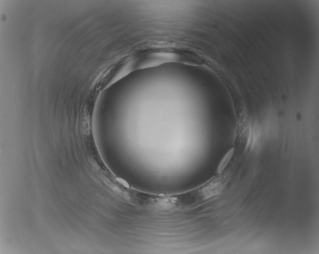 X0000053120474200507111331