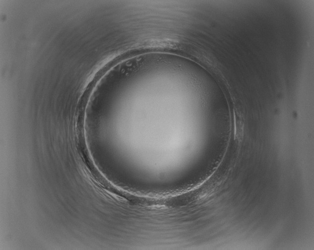 X0000053120483200507111330