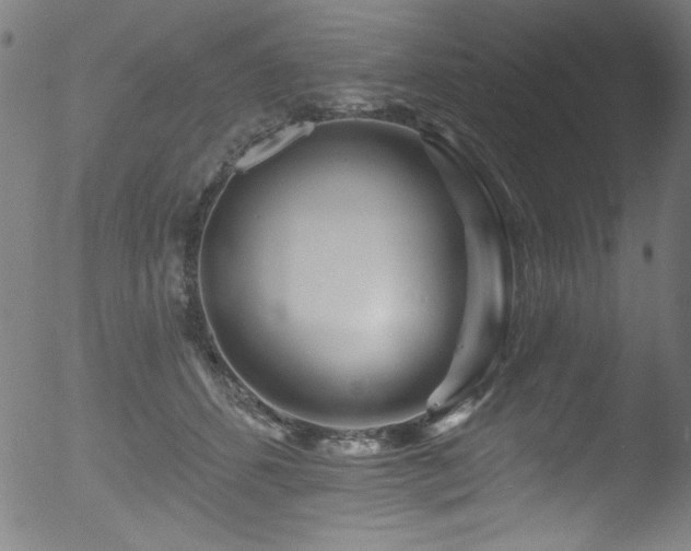 X0000053120512200507111330
