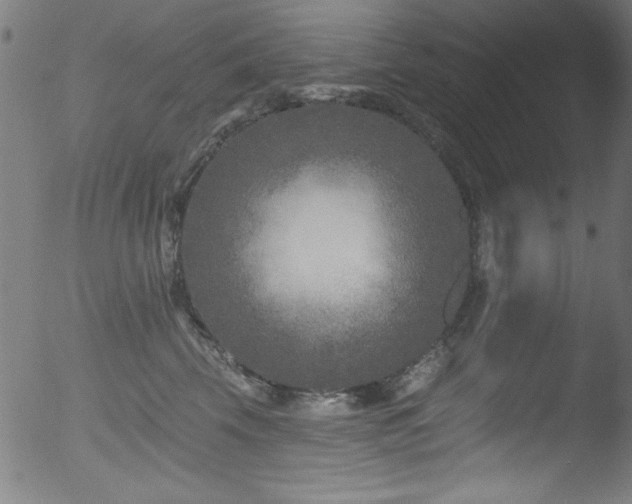 X0000053120569200507111329