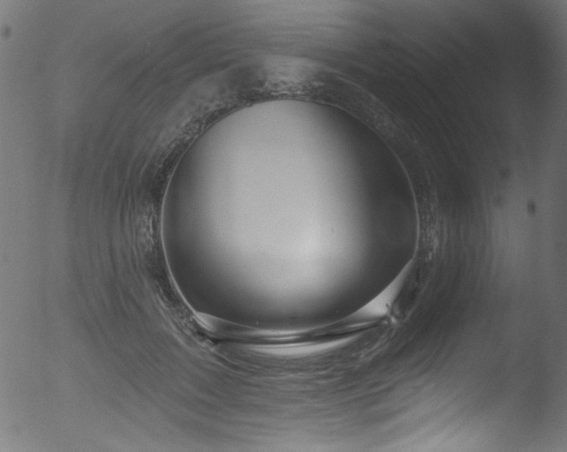 X0000053120603200507111328