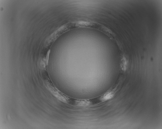 X0000053120621200507111328