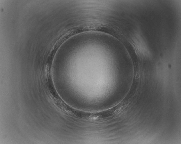 X0000053120647200507111327