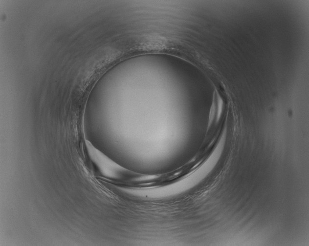 X0000053120681200507111327