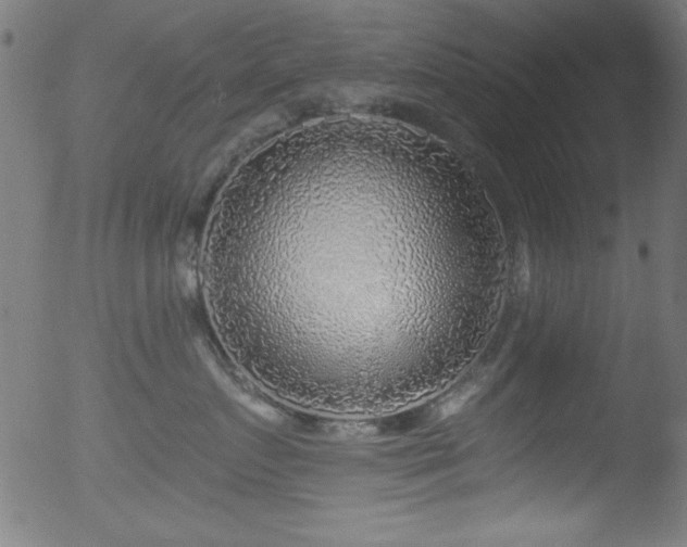 X0000053120719200507111326