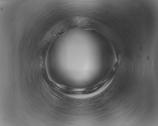 X0000053120752200507111326