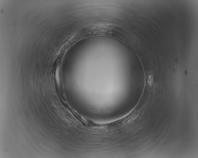 X0000053120771200507111325