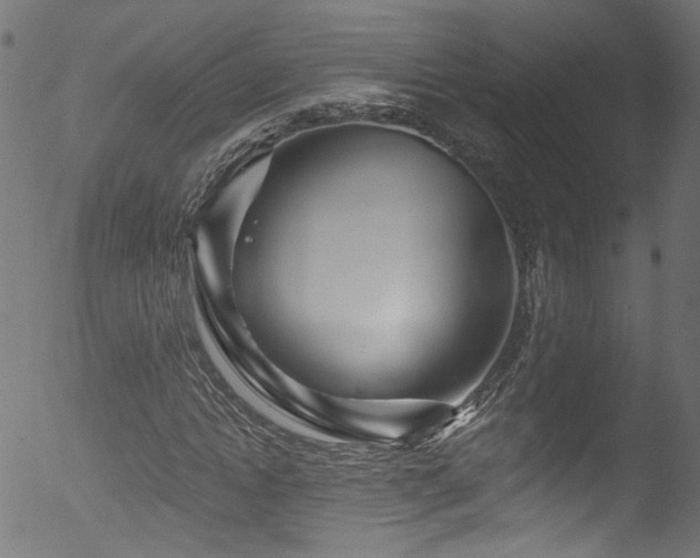 X0000053120822200507111324