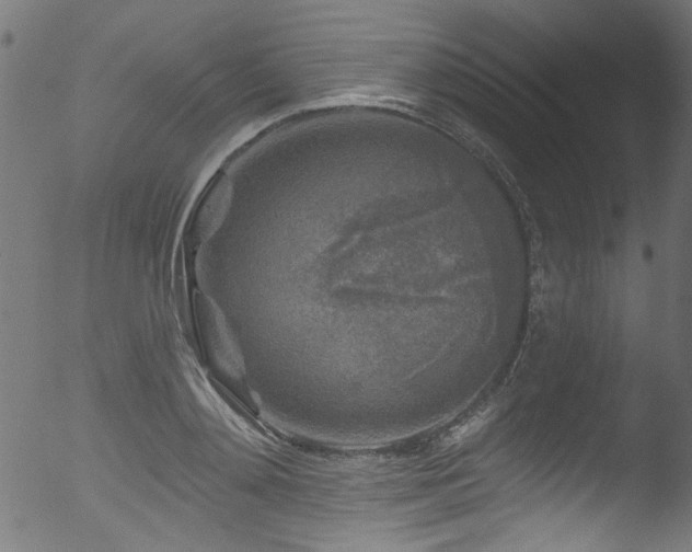 X0000053120892200507111323