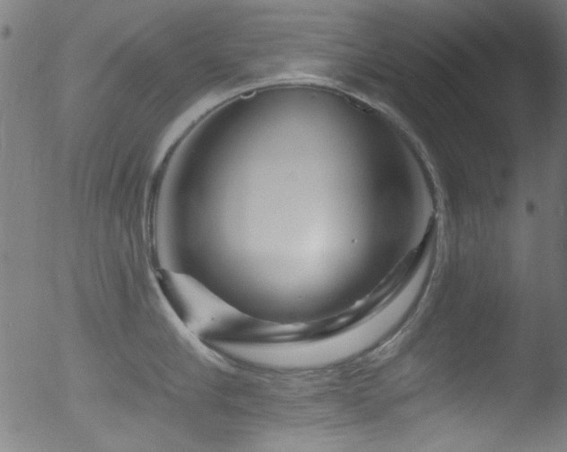 X0000053120910200507111323