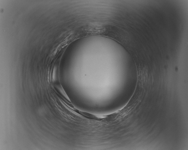 X0000053121058200507111320