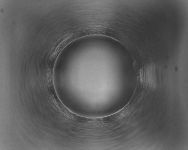 X0000053121107200507111319