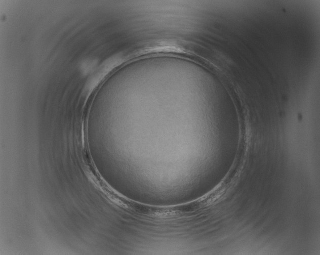 X0000053121274200507111317