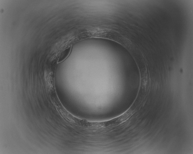 X0000053121346200507111315