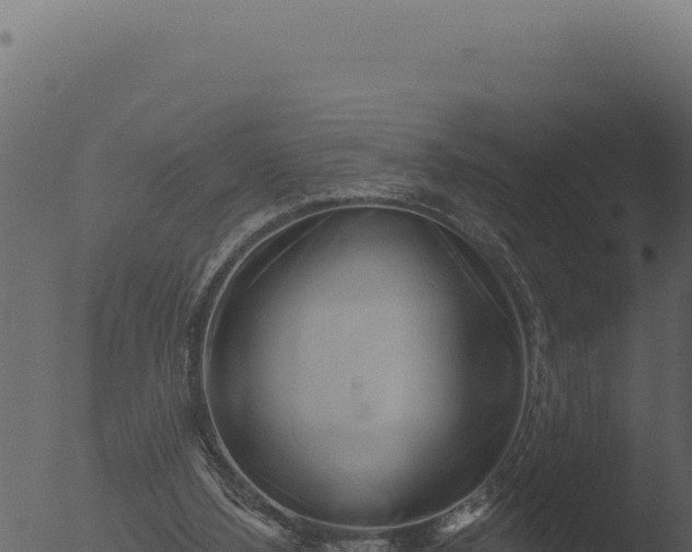 X0000053120108200507181847