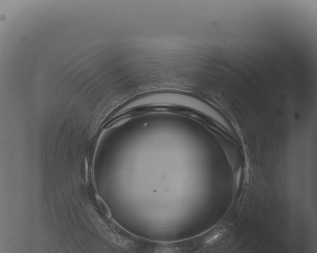 X0000053120109200507181847