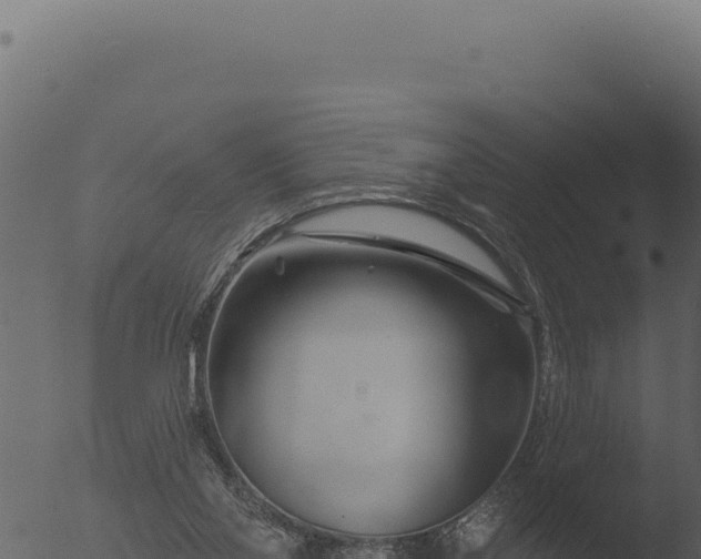 X0000053120110200507181847