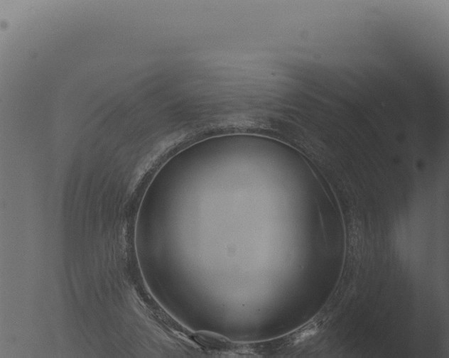 X0000053120112200507181847