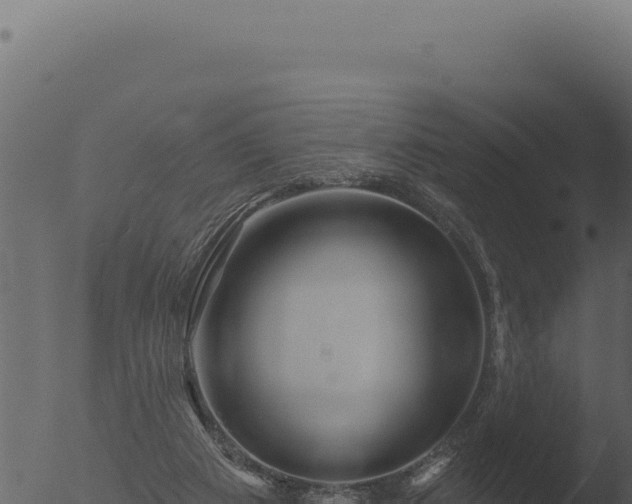 X0000053120113200507181847