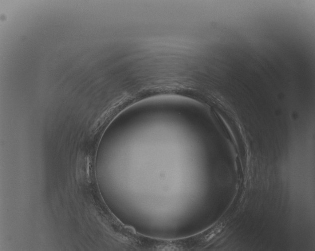 X0000053120115200507181847