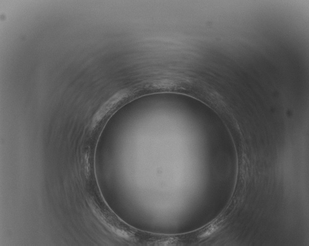 X0000053120116200507181847