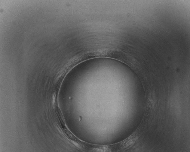 X0000053120118200507181847