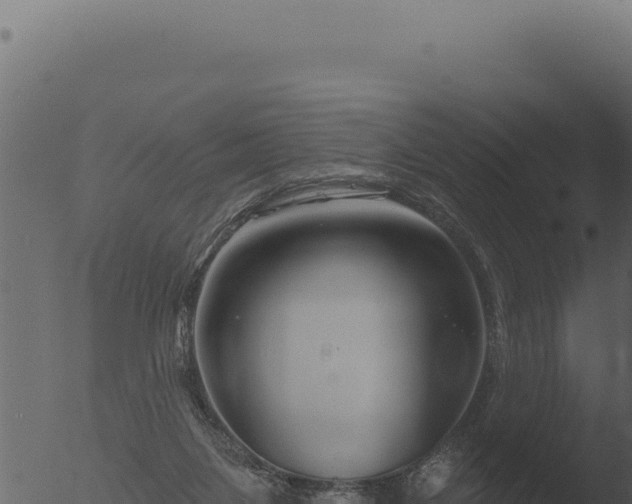 X0000053120119200507181847