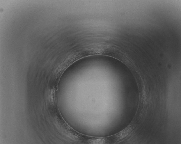 X0000053120122200507181847