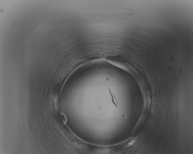 X0000053120123200507181847