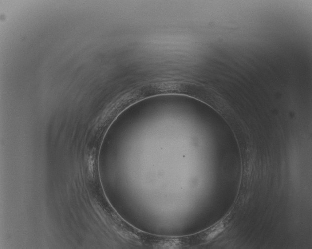 X0000053120124200507181847