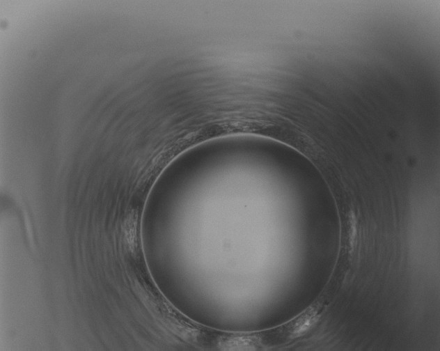 X0000053120129200507181847