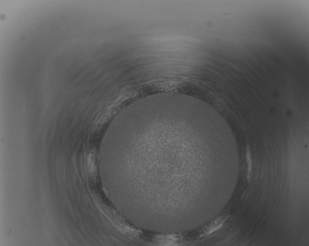 X0000053120131200507181847