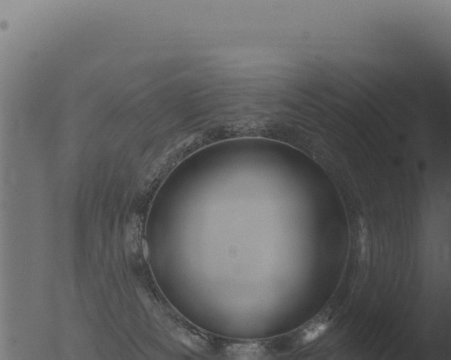 X0000053120133200507181847