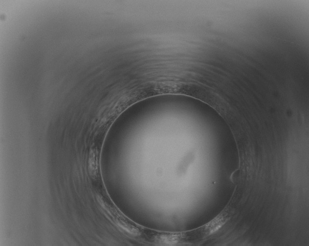 X0000053120134200507181847