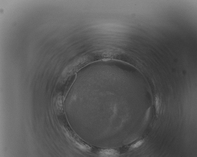 X0000053120137200507181847