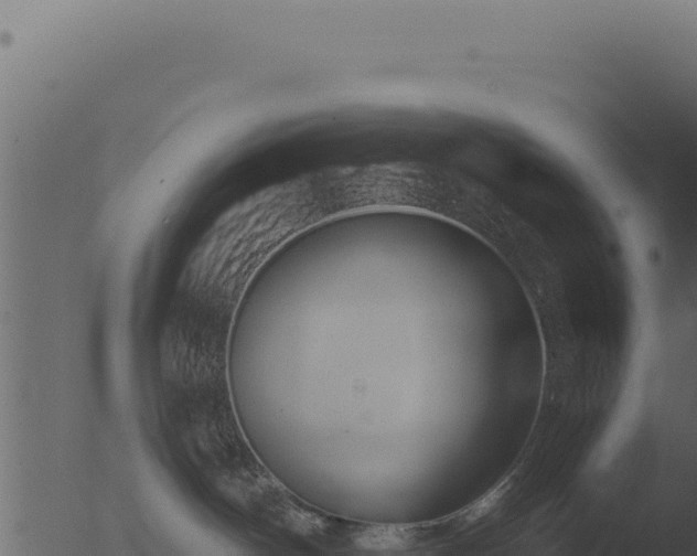 X0000053120142200507181847